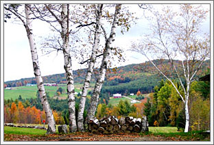 Landaff Scenery