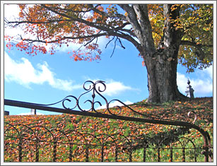 Landaff Fall Scene with gate